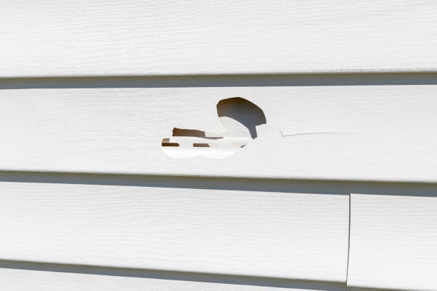 Best Wood Siding Installation  in West Dennis, MA